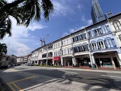 Tanjong Pagar Conservation Area (D2), Shop House #565614661